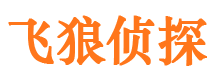 舒城市私家侦探